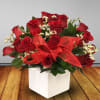 18 Red roses in a white square ceramic vase with fillers and