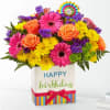 Presented in a modern rectangular ceramic vase with colorful striping at the