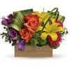 Send her a rainbow! Golden lilies, radiant roses and regal alstroemeria burst