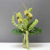 A beautiful green arrangement of Orchids and Bells of Ireland. This arrangement