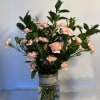 wild style baby carnation