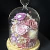 Preserved roses, fresh flowers that can last for 2-3 years