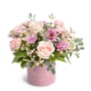 Welcome in and celebrate your sweet baby girl with a beautiful arrangement