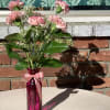 Half dozen carnations, matching holiday colors in applicable, otherwise with our carnation