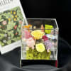 It must be the most special arrangement she got
Size: 14.2X14.2X15.6cm
