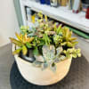 Our professional grade succulent gardens are the perfect, long lasting gift for