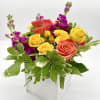 Evoke the fresh, uplifting feeling of spring, with this arrangement of cheerful
