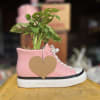 Pink Sneaker with Plant