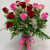 Premium two dozen red + pink roses along with baby&#039;s breath and