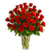Freedom red roses simply arranged with Italian ruscus, camellia and salal foliage