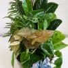 8&quot; Ceramic bowl with various green plants and butterfly or bird accent.