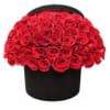 Unveil a grand romantic surprise this Valentine&rsquo;s Day with &quot;Love in a