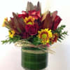 Something bold and beautiful for her! Rekindle the romance by sending this