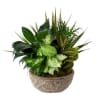 Featuring a lively assortment of green plants and a gorgeous, this Indoor