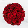 2 Dozen Roses designed &#039;rose on rose&#039; in a clear 5&quot; cylinder