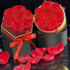 With our forever roses, you can celebrate your emotions and create unforgettable