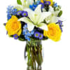 Blue and yellow Flowers 
