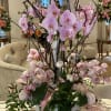 White unique ceramic vase designed combo arrangements with orchid plants and fresh