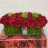50 Ecuador big red roses  are gathered together, with green moss