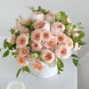 Immerse in the enchantment of our &quot;Peach &amp; Pink O&#039;Hara Roses Harmony&quot;