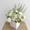 The &quot;Pure White Carnations Elegance Vase&quot; is a sophisticated arrangement featuring a