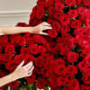 About Extravagant Romance 300 Long Stem Red Roses&trade;
LIMITED EDITION EXCLUSIVE Make this