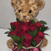 Simply adorable teddy bear and roses a small but very meaningful arrangement