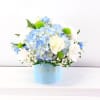 Send a handsome and cute arrangement to the sweetest family/ friend of