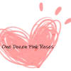One Dozen Pink Roses