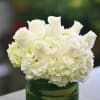 Classic white low profile arrangement
