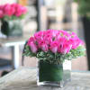 What could be hotter than hot pink roses - it&#039;s perfect hot