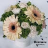 A delicate and timeless floral arrangement featuring blush-toned Gerbera daisies, creamy roses