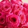 Eye-catching hot pink roses with a fun, modern vibe. Our vibrant blooms
