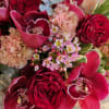 Indulge in the richness of deep red and blush tones with our