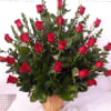 24 red roses on a basket