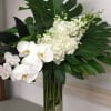 Created in a custom vae filled with monestra leaves, orchids and seasonal