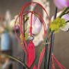 Our orchids comes from the top orchids farm in the tri-state. Please
