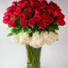 5 dozen of roses surrounded by white Hydrangeas everyone favorite very romantic