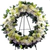 A beautiful outpouring of pure white blossoms in an eternal ring to