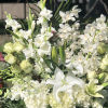 A basket full of white elegance! Arranged with premium cymbidium orchids, dendrobium