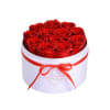 12 Preserved Roses .