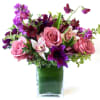 Intense romance -- intense color, and we are complementing it with shades