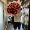 50 or 200  Russian Cut Roses  Hand Tide Bouquet Special
