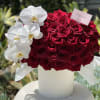 Gorgeous box with premium red roses and white fresh orchids 