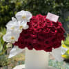 Gorgeous box with premium red roses and white fresh orchids 
