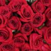 Our Half Dozen Roses arrangement features six premium, hand-selected roses in your
