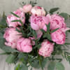 Standard - Your order will be arranged approximately as shown on our