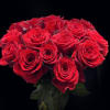 1 Dozen Roses 2 ft in. length, Fresh from the Farms. Hand-tied!