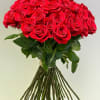 Premium long-stem classic Red roses