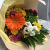 Let our expert designers choose a selection of flowers to create a